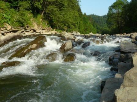 Caloroczne Domki Zacisze Hnatowego Berda W Wetlinie Wetlina Exterior foto